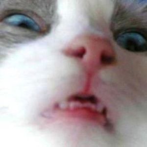 Meet your Posher, Jenny